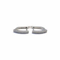 Silver white stone French clasp earrings with clasp