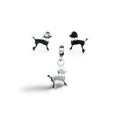 Silver stekker dog set with white stone